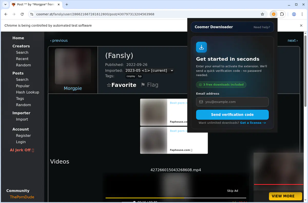 Coomer Video Downloader browser extension screenshot 6